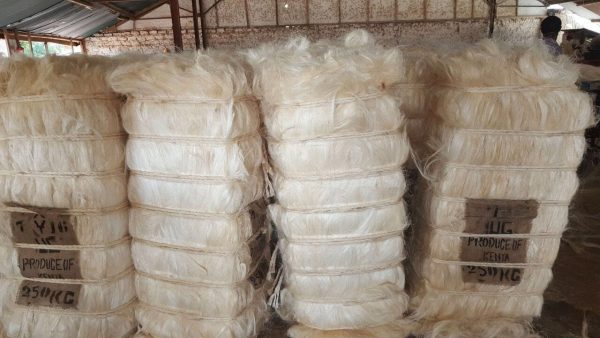 sisal fiber ug grade for sale from Kenya